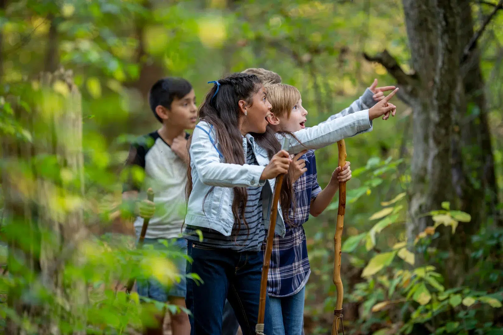 Holistic Educational Travel Experiences