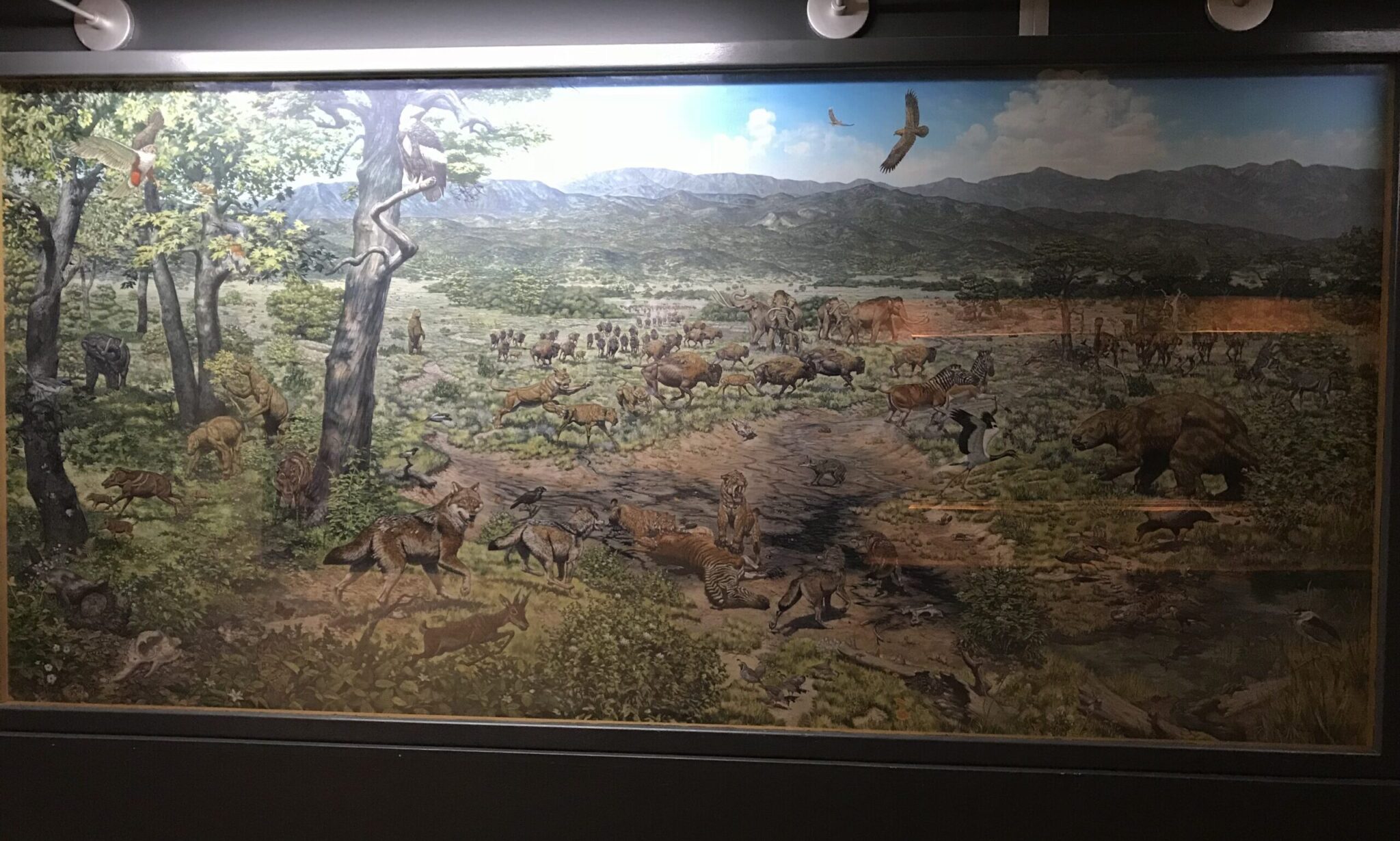 Science Journey - La Brea Tar Pits and Museum | Zenith Study Lab