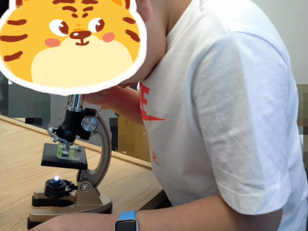 Science Lecture - How to Use a Microscope | Zenith Study Lab