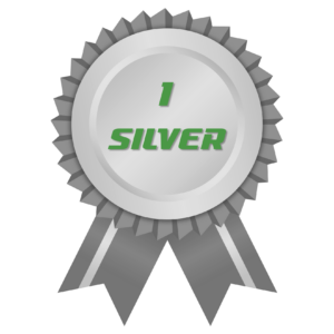Silver plan